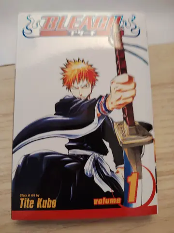 Bleach Manga volume 1