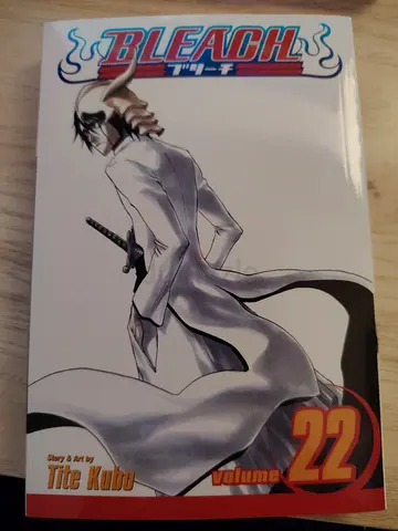 Bleach Manga volume 22