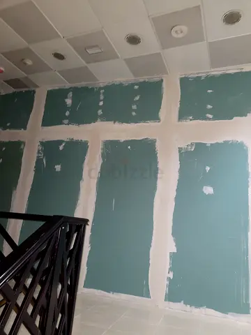 ​Expert Wall Painter  Gypsum Ceiling Technicianwall plaster and building maintenance