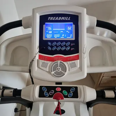 Larsen GP Treadmill
