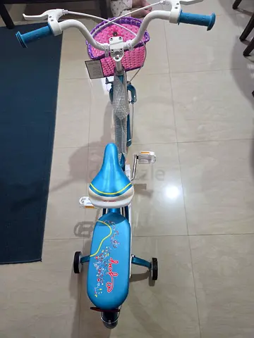 20 inch Cute and Colorful Kids bicycle with small supported Wheels