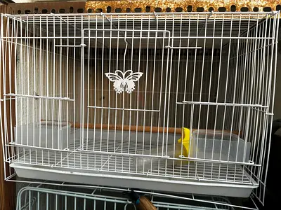 White Bird Cage for Sale