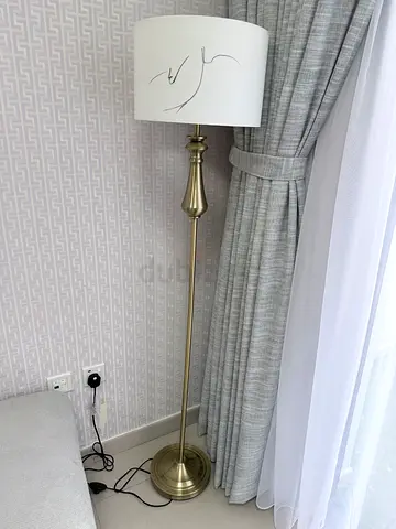 Elegant Floor Lamp with Artistic Shade