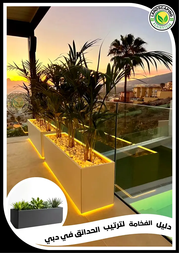 DPV_View_Image_2
