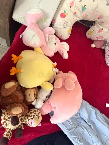 Collection of Cute Stuffed Animals