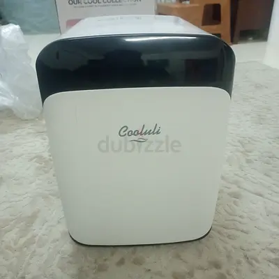 Cool Hot Car  Mini Fridge