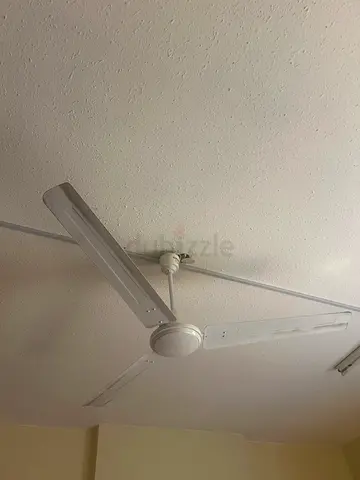Ceiling Fan for Sale