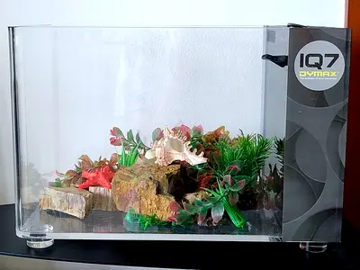Aquarium Kit with Decorative Plants and cleaning accessories