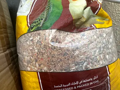 Bird Food for Cockatiels or budgies or lovebirds