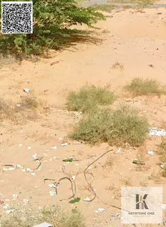 Residential / Commercial Plot for Sale in Al Alia Global City