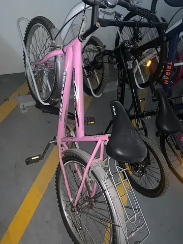 Pink Bicycle for Sale