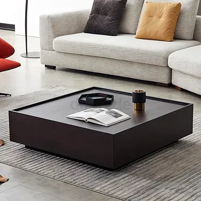 Modern Coffee Table with Storage
