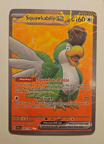 Squawkabilly EX  Pokémon Card