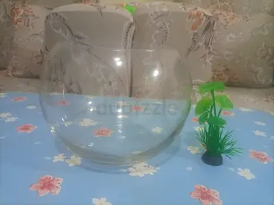 Glass Bowl for Fish