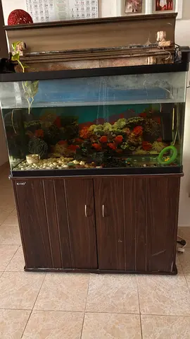 Large Fish Aquarium with Cabinet