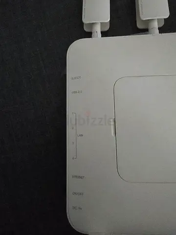 Networking Device (Router)