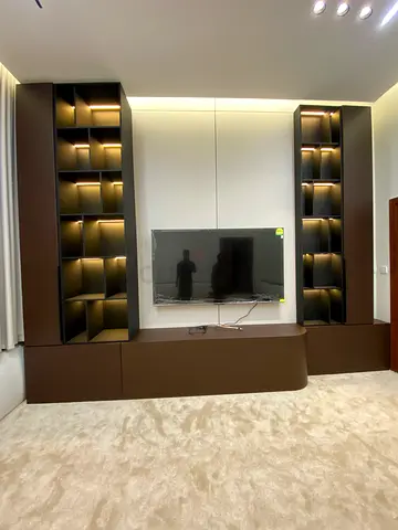 Modern Entertainment Center with Integrated Shelving