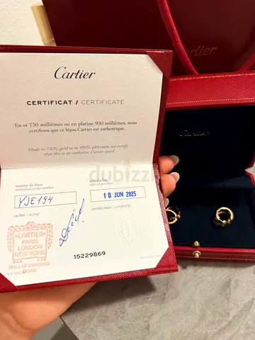 Cartier Love Earrings (Yellow Gold) ✨