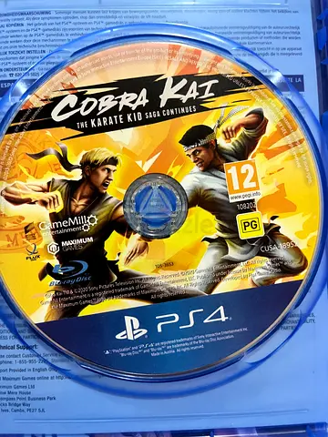 Cobra Kai: The Karate Kid Saga Continues (PS4)