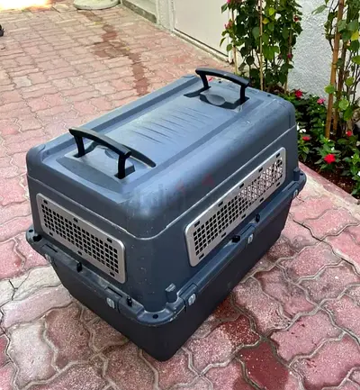 Dogs carriers for air travel L90