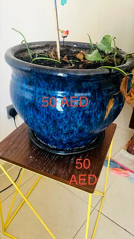 Beautiful Decorative Flower Pot