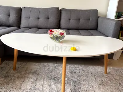 Stylish Oval Coffee Table