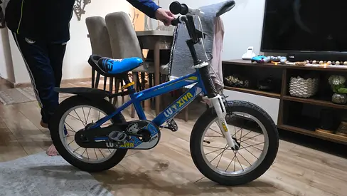Kids Blue  Bike