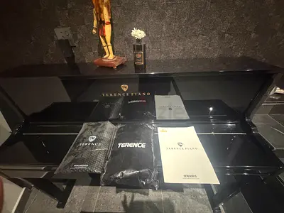 Terence digital Piano in Excellent Condition