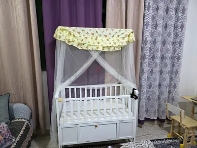 Elegant Baby Crib with Canopy
