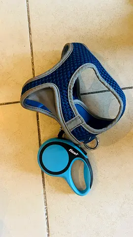 Blue Dog Harness and Leash Set