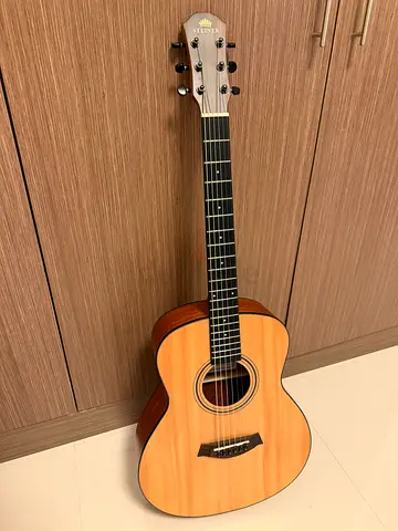 Steiner Guitar