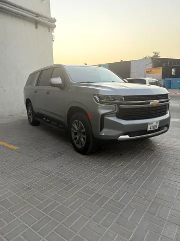 NO DEPOIST / FREE DELVERY-Tabby TAMARA Accepted