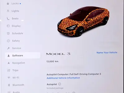 2023 Tesla MODEL 3 — миниатюра 13