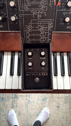 Moog Minifooger MF Delay Pedal