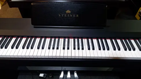 Steiner DP-450B