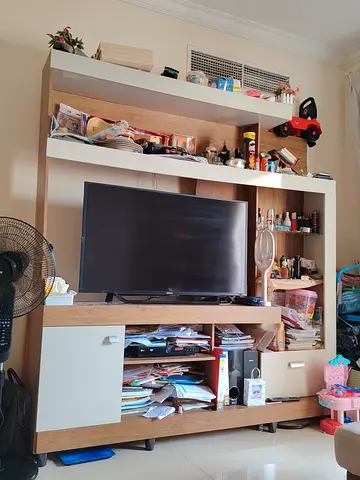 TV with stand