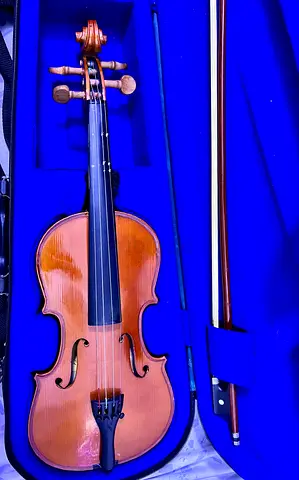 Beautiful Violin for Sale