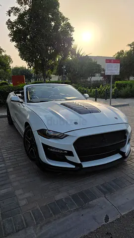 Ford Mustang Convertible EcoBoost