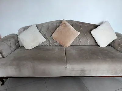 Elegant Velvet Sofa with Cushions