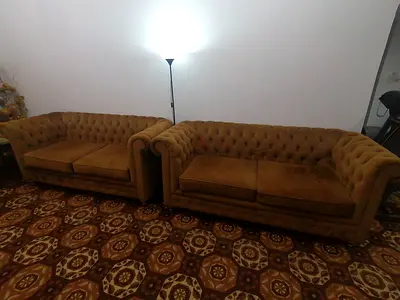 Elegant Brown Sofas