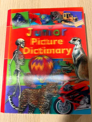 3D Junior Picture Dictionary