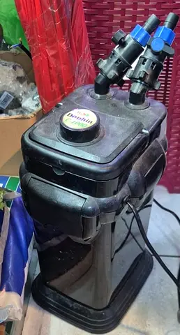 Cnister filter dophin