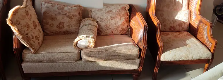 Elegant Vintage Sofa and Armchair Set