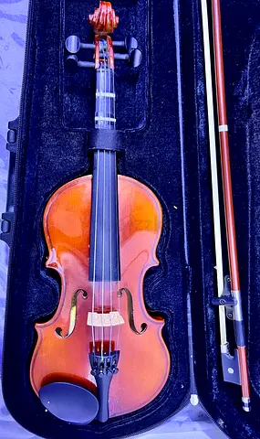 Beautiful flawless violin for sale