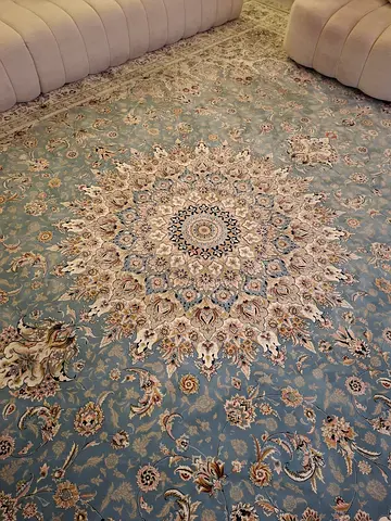 Elegant Persian-Style Area Rug