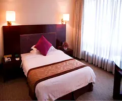 PRIVATE ROOM - SINGLE EXECUTIVE INDIAN MALE BACHELOR