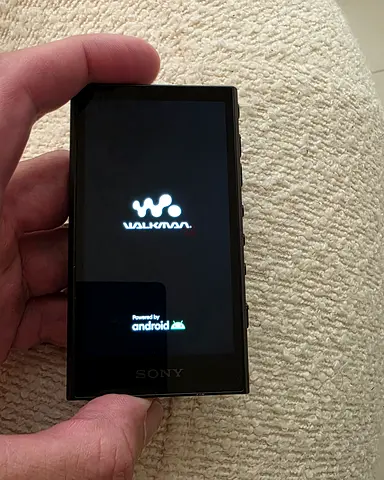 Sony Walkman NW-A306 + 128GB SD card