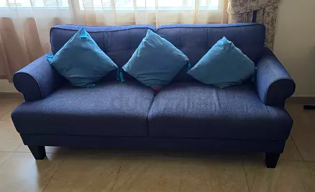 Comfortable Blue Sofa