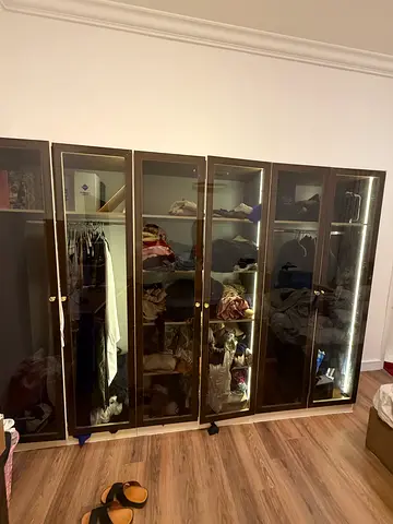Elegant Glass Door Wardrobe with Stylish Lighting