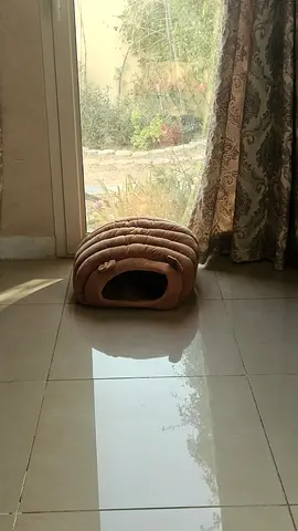 Cozy Cat Bed for Sale